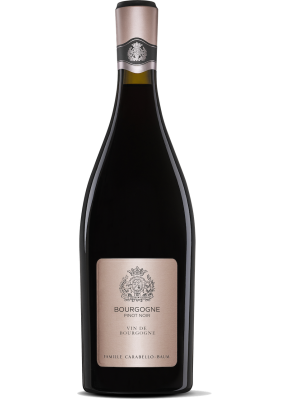 351107-chateau-pommard-bourgogne-pinot-noir-75cl.png