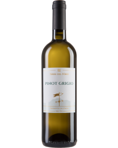 211177-terre-del-foehn-pinot-grigio.png