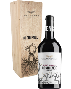231179-resilience-nero-davola-holzkiste-150cl.png