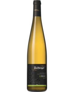 308627-wolfberger-muscat-signature-2021-75cl.png