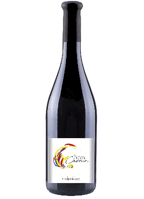 304017-couly-dutheil-le-chenin-2023-klein.png