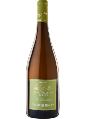 307117-les-diovolettes-domaine-jean-vuillen-fils-klein.png