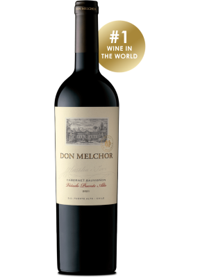 695817-cyt-don-melchor-2021-75cl.png