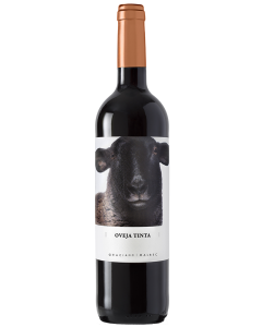 154277-fontana-oveja-tinta-graciano-malbec75cl.png
