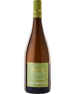 307117-les-diovolettes-domaine-jean-vuillen-fils-klein.png