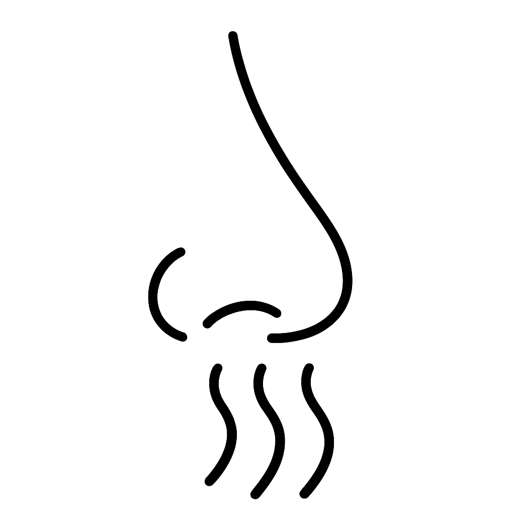 Gesamteindruck